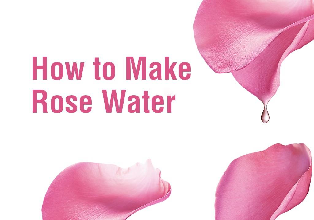 How to Make Rose Water
