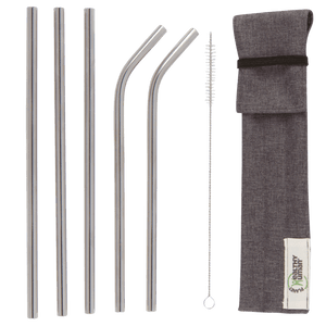 Stainless Steel Straws - 5 Piece Travel Set Healthy Human v2
