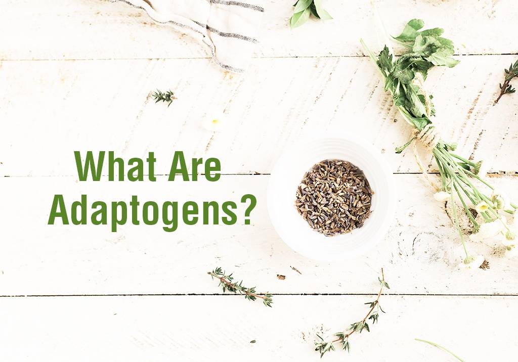 are Adaptogens and What do They do?