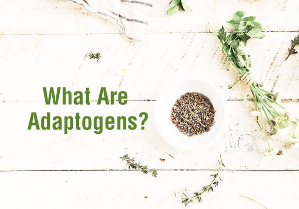 What are Adaptogens and What do They do? - Healthy Human