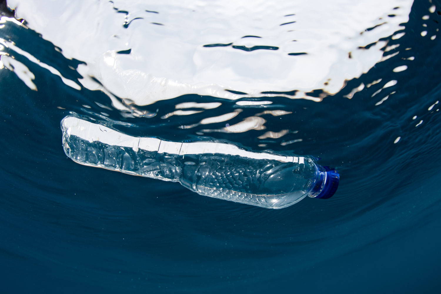 Shops sold 2.5 BILLION bottles of water in 2019 as tide of plastic shows no  sign of slowing down