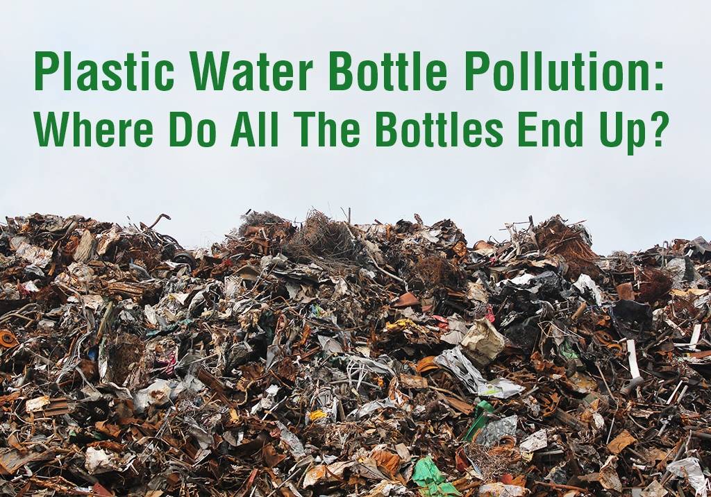 Plastic Water Bottle Pollution: Where do all the Bottles End Up?