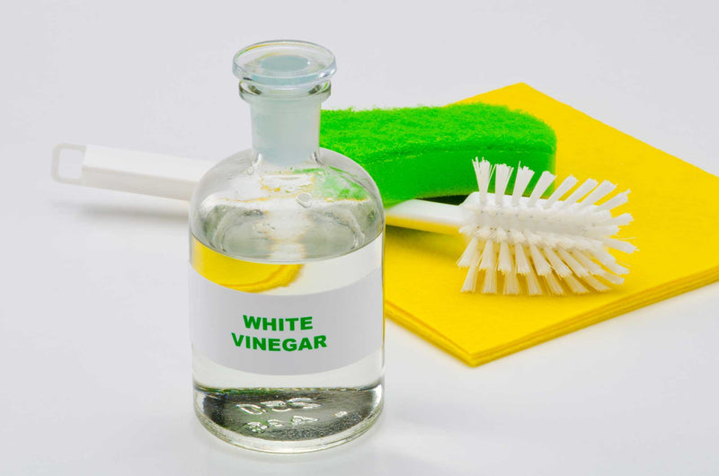 Buy Bottle Cap Cleaner 2 Brushes for Hygenic & Thorough Cleaning