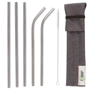 Stainless Steel Straws with Travel Case, Set of 5
