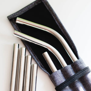 Stainless Steel Straws with Travel Case, Set of 5