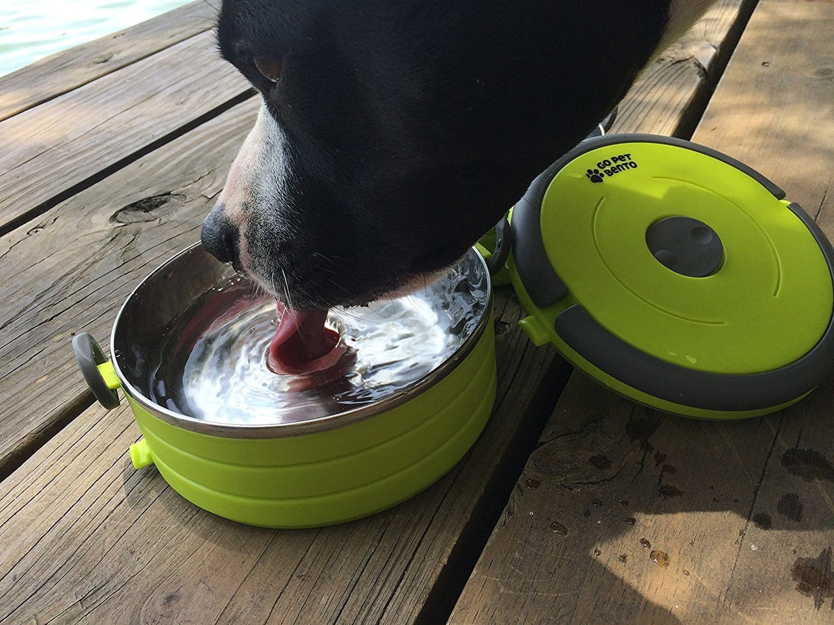 Customized Travel Dog Bowl & Water Bottle Sets