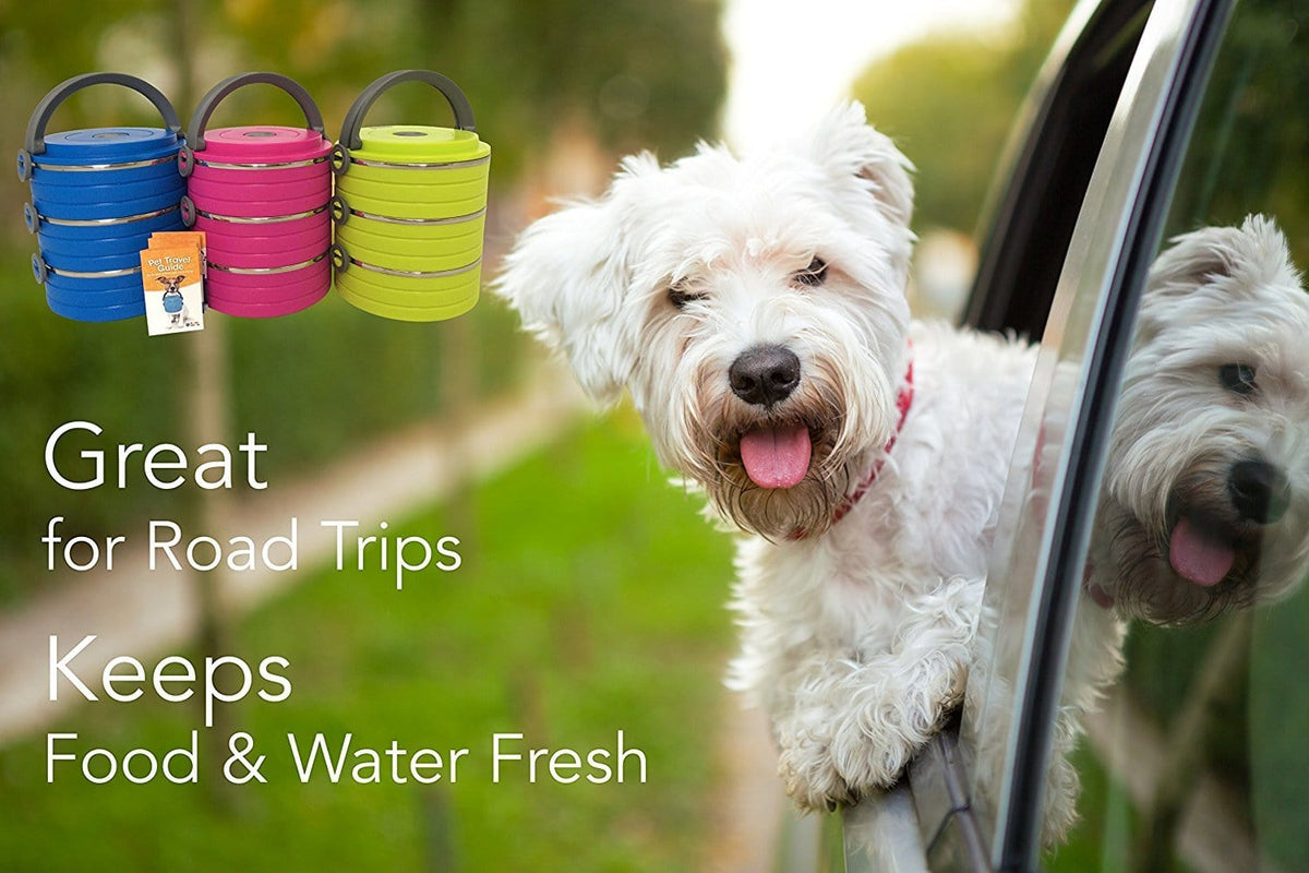 Go Pet Bento Boxes  Carry Food, Water & More for Dogs and Cats - Healthy  Human